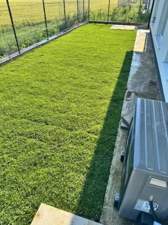 Casă 4 camere Tunari - poza 8