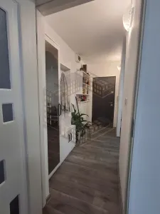 Apartament 2 camere Timișoara - poza 8