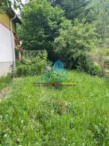 Casă 4 camere Lepsa - poza 4