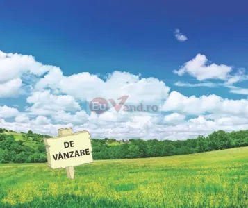 Teren Vânători - poza 1