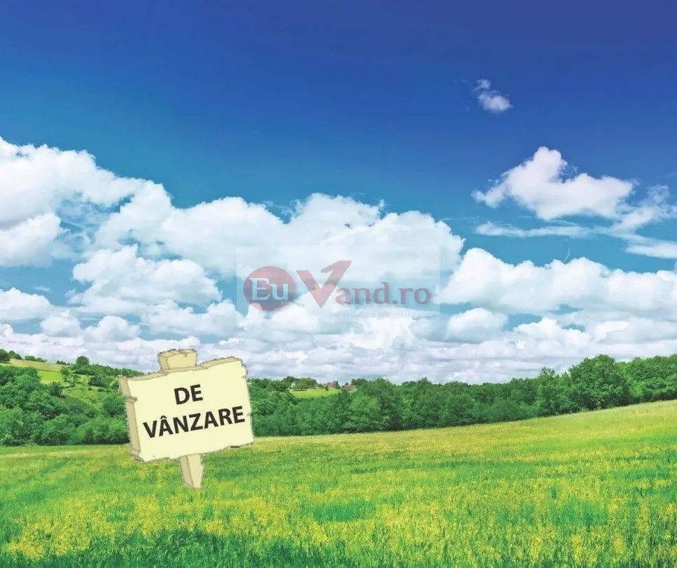 Teren Vânători - poza 1