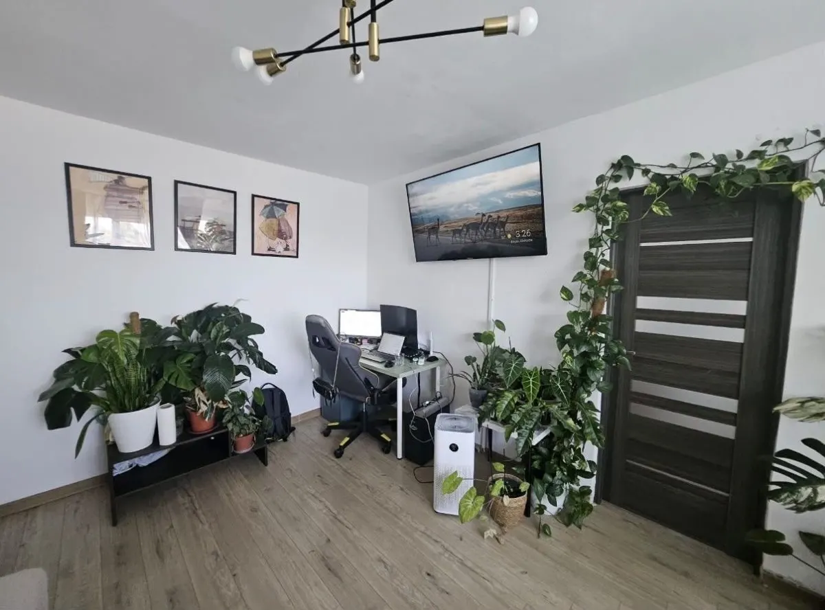 Apartament 2 camere Timișoara - poza 1