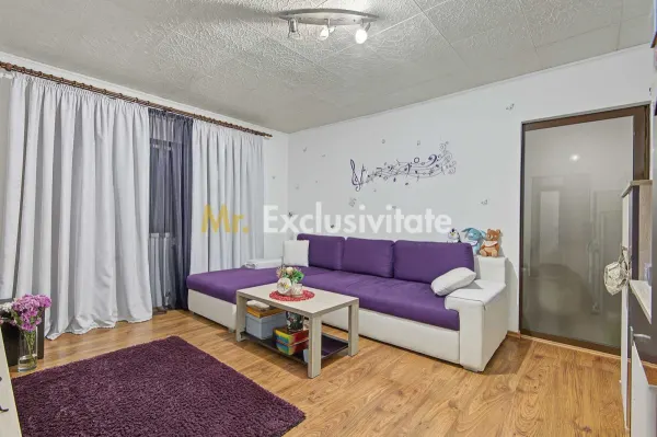 Apartament 2 camere Mioveni - poza 3