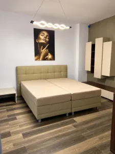 Apartament 3 camere Timișoara - poza 4