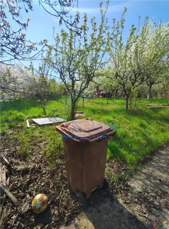 Teren Iași - poza 8