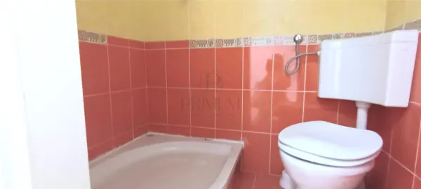 Casă 11 camere Timișoara - poza 12