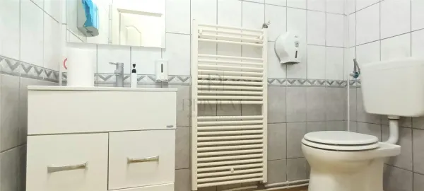 Casă 11 camere Timișoara - poza 3