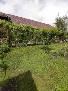 Casă 4 camere Târgu Mureș - poza 7
