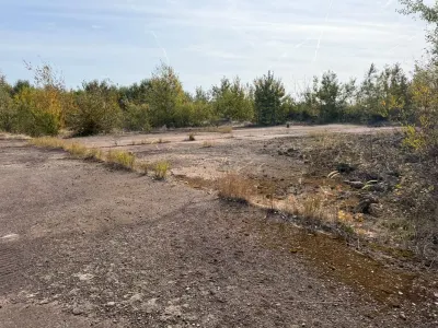 Teren Arva - poza 17