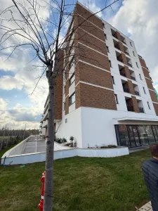 Spațiu comercial București - poza 3