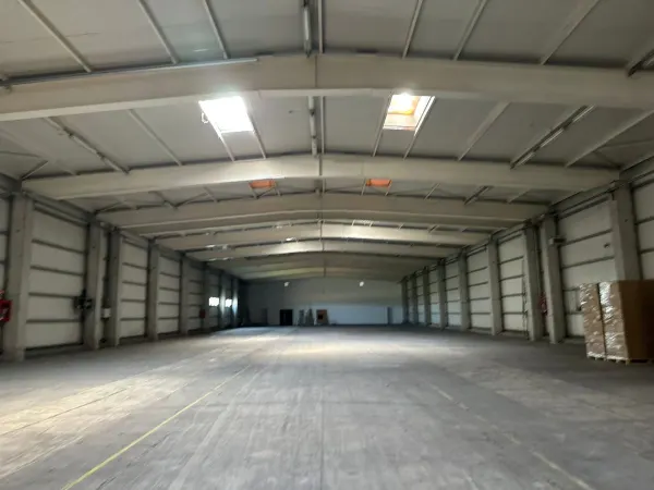 Spațiu industrial Chiajna - poza 10