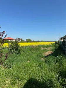 Teren Balotești - poza 16