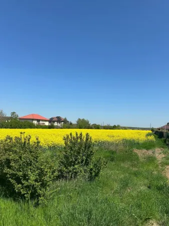 Teren Balotești - poza 21