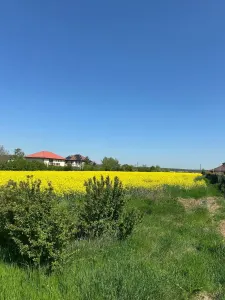 Teren Balotești - poza 21