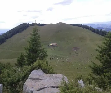 Teren extravilan pasune 270.000 mp Bertea Prahova - Bertea