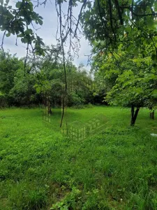 Casă 5 camere Glodghilesti - poza 9