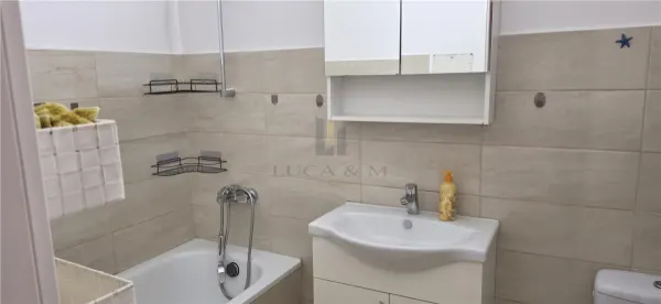 Apartament 1 camera Timișoara - poza 17