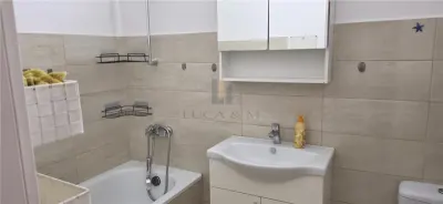Apartament 1 camera Timișoara - poza 17