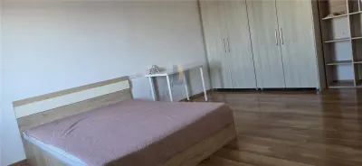 Apartament 1 camera Timișoara - poza 3