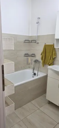 Apartament 1 camera Timișoara - poza 9