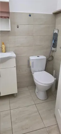 Apartament 1 camera Timișoara - poza 10
