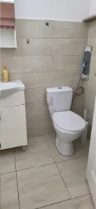 Apartament 1 camera Timișoara - poza 10