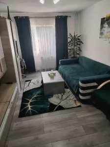 LIPOVEI - 2 CAMERE - DECOMANDAT - ETAJ INTERMEDIAR - RENOVAT - Timisoara