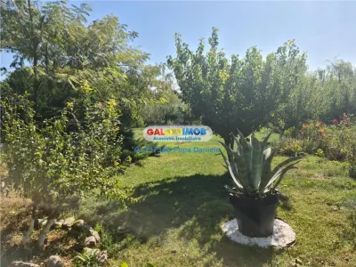 Casă 5 camere Sarulesti - poza 17