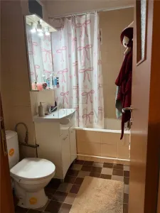 Apartament 2 camere Timișoara - poza 6