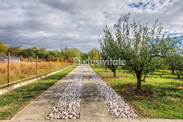 Casă 2 camere Colibasi - poza 13