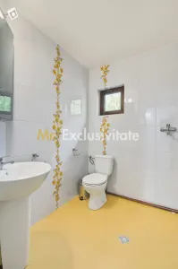Casă 2 camere Colibasi - poza 12