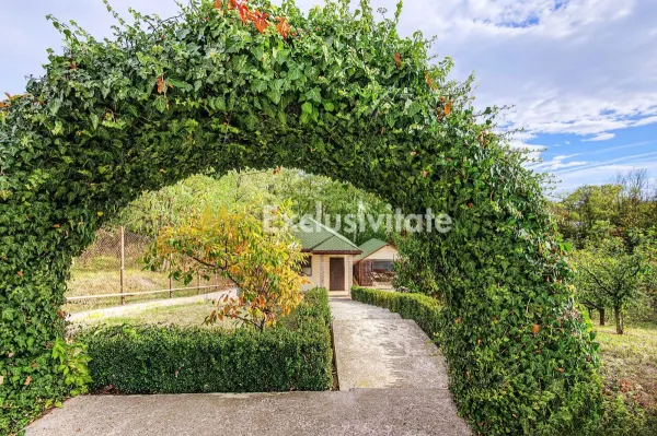 Casă 2 camere Colibasi - poza 3