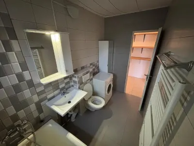 Apartament 2 camere Timișoara - poza 13