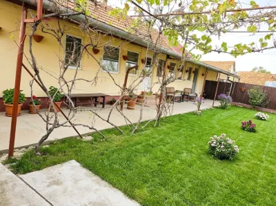 Casă 4 camere Cadar - poza 3