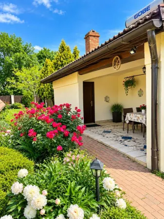 Casă 4 camere Sânmihaiu Român - poza 2