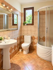 Casă 4 camere Sânmihaiu Român - poza 18