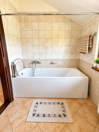 Casă 4 camere Sânmihaiu Român - poza 19