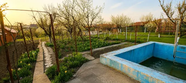 Casă 5 camere Giarmata - poza 12