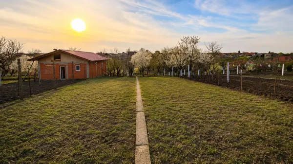 Casă 5 camere Giarmata - poza 4