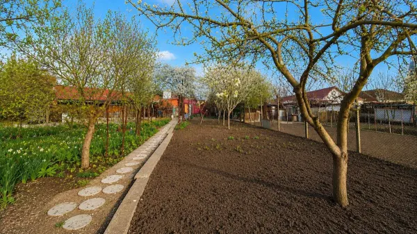 Casă 5 camere Giarmata - poza 10