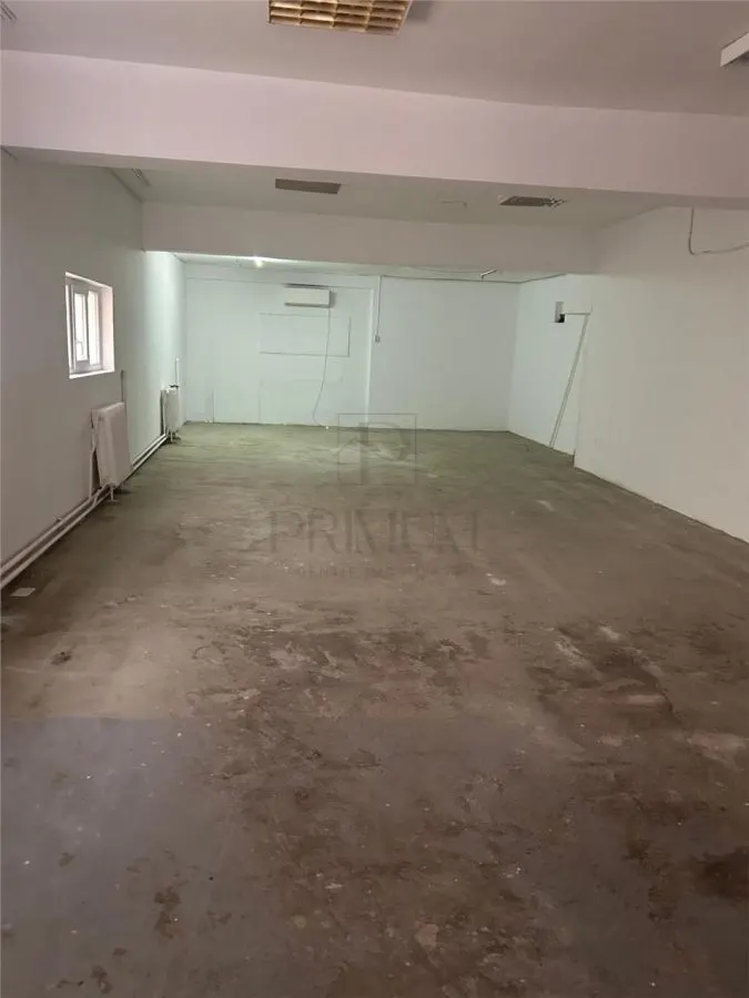 Spațiu comercial Timișoara - poza 1