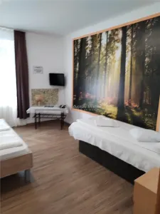 Casă 4 camere Hunedoara - poza 4
