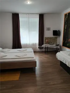 Casă 4 camere Hunedoara - poza 5