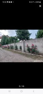 Casă 4 camere Parscov - poza 8