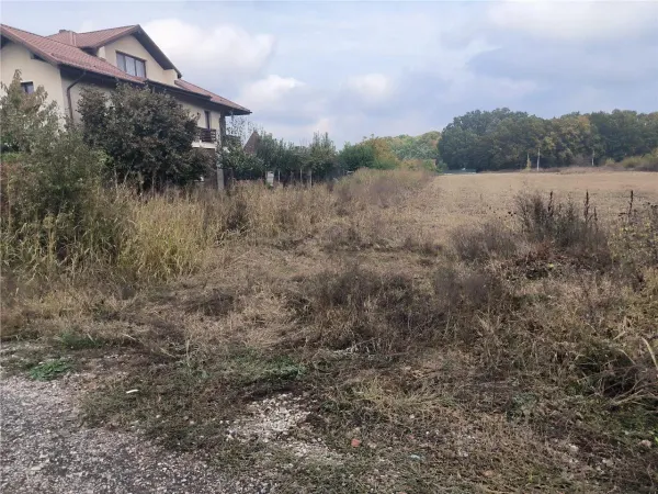 Teren Domnești - poza 1