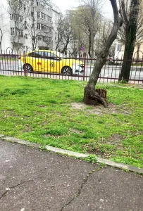 Oportunitate Mall Vitan Mihai Bravu Vanzare 2 Camere Spatios 60 mp Linistit 1991 - Bucuresti