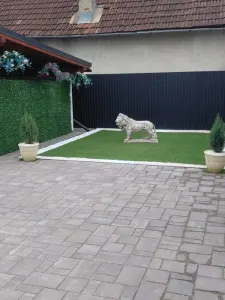 Casă 3 camere Sighetu Marmatiei - poza 2