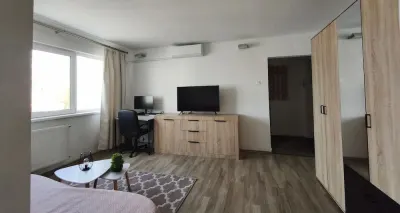 Apartament 2 camere Timișoara - poza 2