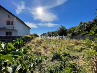 Teren 1220mp intravilan Bascov, AG - Bascov