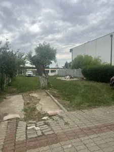 Casă 5 camere Giarmata - poza 5